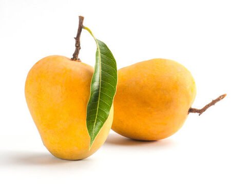 Alphonso Mango